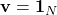 \mathbf{v} = \mathbf{1}_N